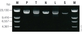 10214TA_280px