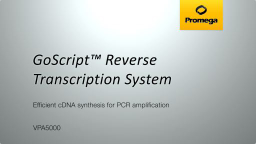GoScript™ Reverse Transcription System