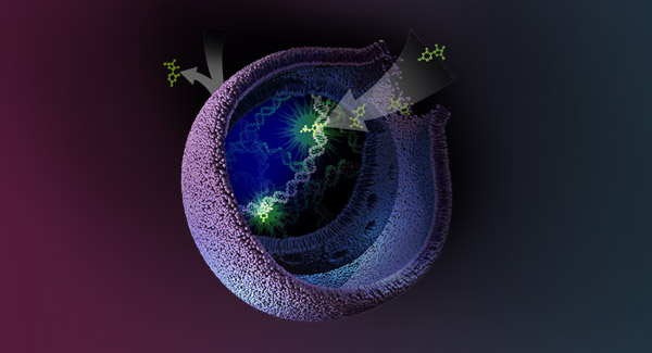 cell-health-screening-cell-viability-and-cytotoxicity