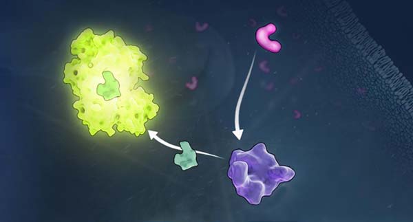 oxidative-stress-products