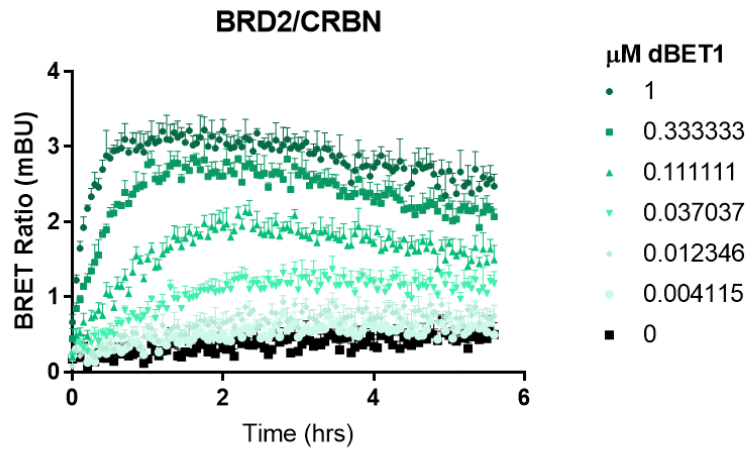 nanobret ternary complex formation