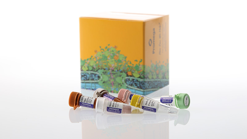 am2140gotaqenviropmmovquantkitquasar6703