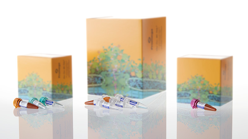 DC1611_PowerPlex--ESX-16-Fast-System--100rxn