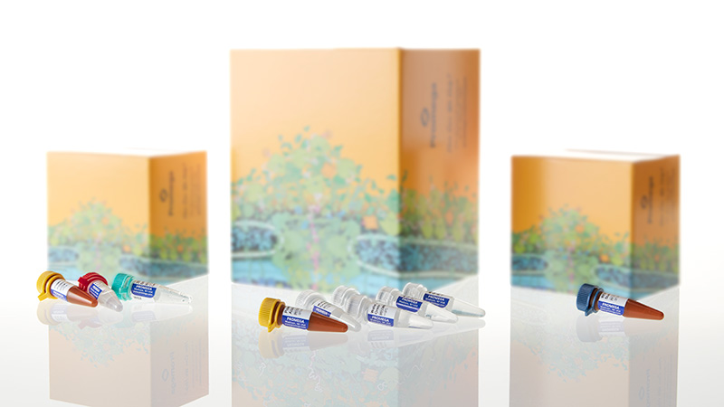 DC8902_PowerPlex--21-System--200rxn_3