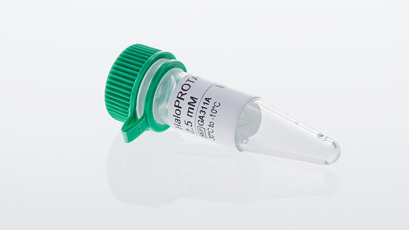 GA3110_HaloPROTAC3_3