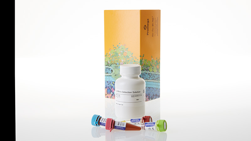 j9020-dehydrogenase-glo-detection-system-50-ml