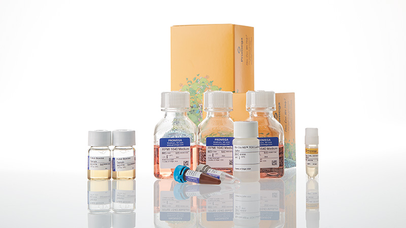 ja1251-raji-ht-hibit-cd19-ko-tck-bioassay