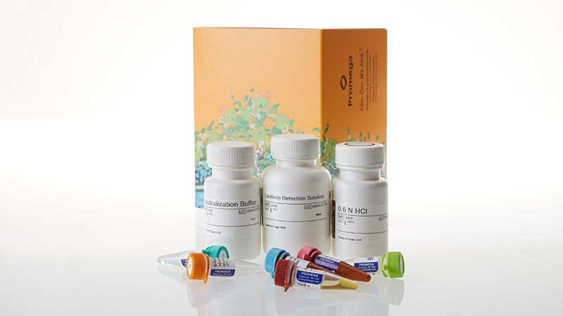 je9600-bhb-glo-ketone-body-assay-50-ml