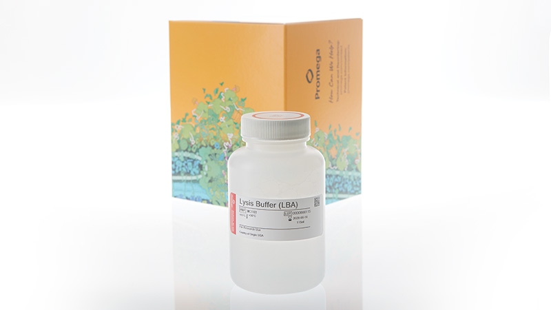 mc1181-lysis-buffer-lba