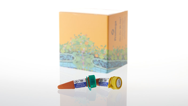 N2590_Nano-Glo-Extended-Live-Cell-Substrate