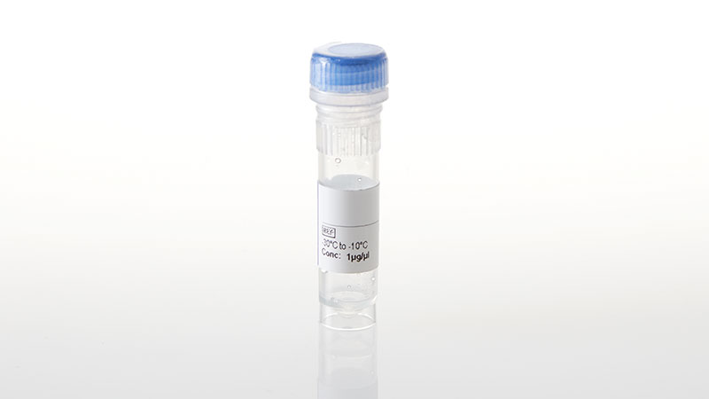 NV4371_TEK-P883A--NanoLuc- Fusion Vector- 20ug