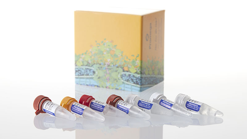 P1700_T7-RiboMAX--Express-RNAi-System_3