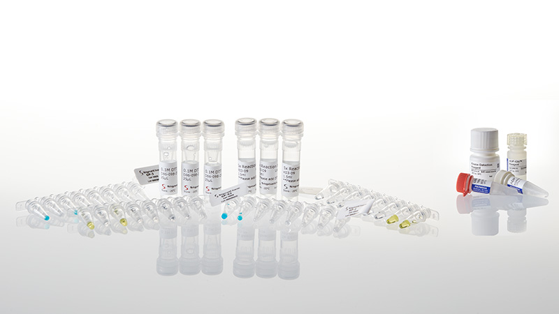 V6929_Kinase-Selectivity-Profiling-General-Panel