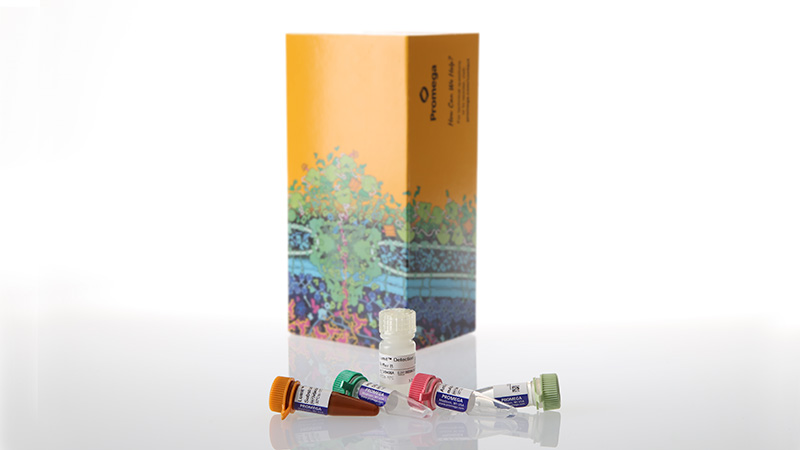 w6070-lumit-il-10-human-immunoassay-100-assays