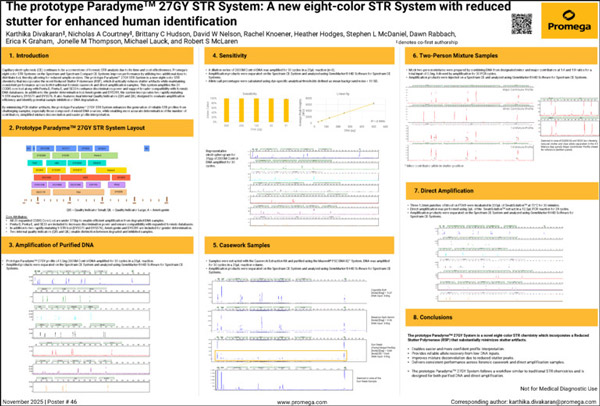 paradyme-27gy-ishi-36-poster-final