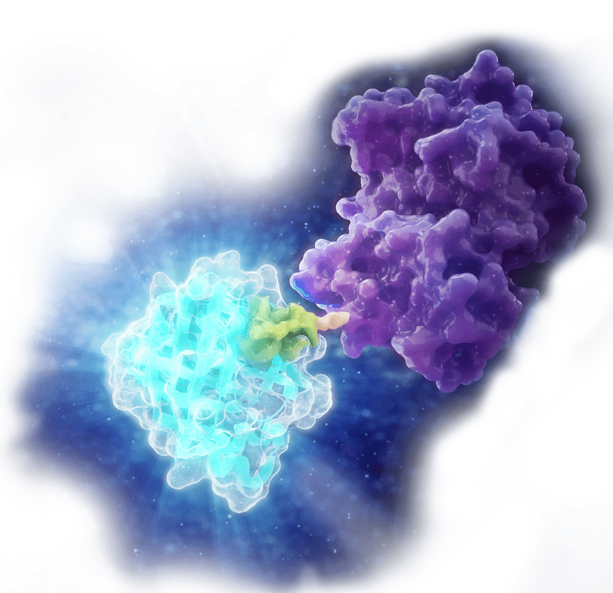 Protein Quantitation & Detection Hero Art Floating