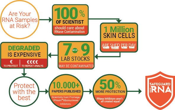rnasin-infographic