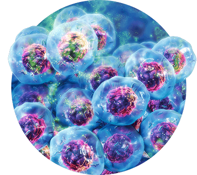 celltiter-glo-3d