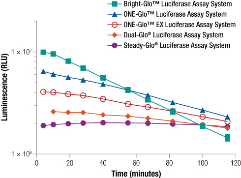 ONE-Glo™ EX Reagent provides bright and stable luminescence that can be measured for hours.