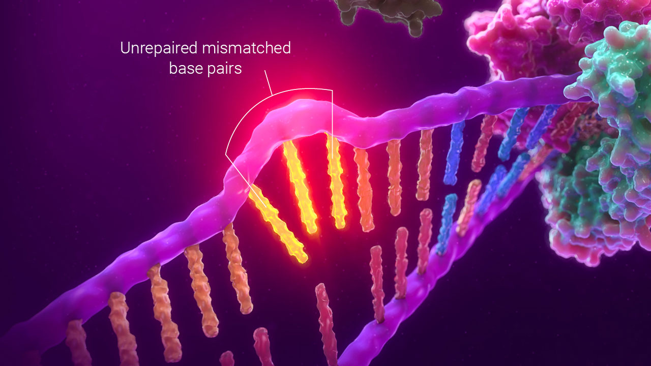 detecting msi by pcr