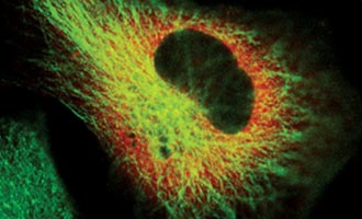 Get Started with HaloTag Technology Resource